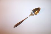 Community ADAM Citrus Spoon