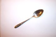 Community Tudor Plate FANTASY Teaspoon
