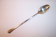 Holmes & Edwards SPRING GARDEN Iced Tea Spoon