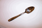 OUT OF STOCK International CREATION I (1) Citrus Spoon