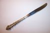 International Deepsilver DELICATO Dinner Knife