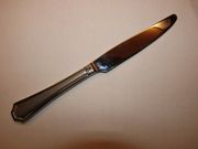 Mikasa TATUM FROST Dinner Knife