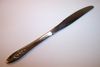Oneida 1881 Rogers SPRING VALLEY Dinner Knife, Hollow Handle