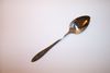 Oneida 1881 Rogers SPRING VALLEY Teaspoon