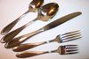 Oneida CAMBER / SCROLL 5-piece place Setting