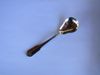 Oneida CLASSIC SHELL Sugar Spoon