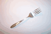 Oneida Community BIRD OF PARADISE Salad Fork