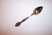 Oneida Community CANTATA Citrus Spoon