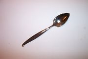 Oneida Community DRIFTWOOD Citrus / Grapefruit Spoon