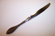 Oneida Community HEIRESS / EROS Dinner Knife, Hollow Handle