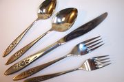 Oneida Community ROSE SHADOW 5-piece Place Setting