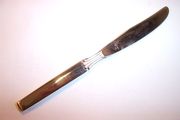 Oneida Community TWILIGHT Dinner Knife