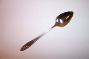 Oneida Community VIGNETTE Citrus Spoon