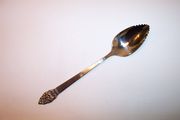 Oneida Community VINLAND Citrus Spoon