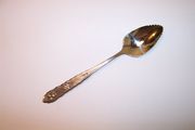 OUT OF STOCK Oneida Deluxe FLORAL BOUQUET Citrus Spoon