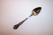 Oneida Distinction Deluxe KENNETT SQUARE Citrus Spoon