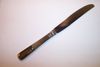 Oneida FERNWOOD Hollow Handle Dinner Knife
