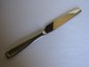 Oneida FORTE Dinner Knife Hollow Handle