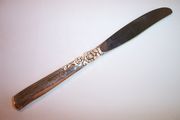 OUT OF STOCK Oneida Prestige GAY ADVENTURE Dinner Knife