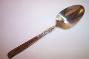 Oneida Prestige GAY ADVENTURE Tablespoon / Serving Spoon