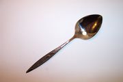 Oneida Rogers ROYAL HARVEST Place / Soup Spoon