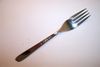 Oneida SPICE Dinner Fork