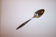 Oneida West Bend TWILIGHT ROSE Teaspoon