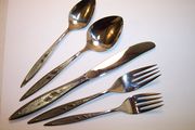 Oneida Wm A Rogers ROYAL HARVEST 5-piece Place Setting