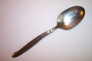 Oneidacraft Premier  SHORELINE / FIREBIRD SATIN Tablespoon / Serving Spoon