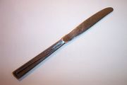 INSICO VENTURE Dinner Knife, Hollow Handle