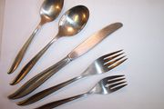 International INS4 5-piece Place Setting