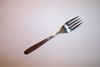 Oneida SPICE Salad Fork