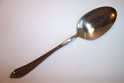 Oneidacraft Deluxe SHASTA Tablespoon / Serving Spoon