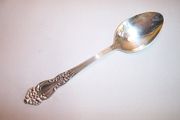Reed & Barton FESTIVITY / TIGER LILY Tablespoon / Serving Spoon
