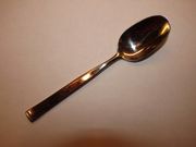 Retroneu ASPEN Place / Soup Spoon