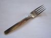 OUT OF STOCK Retroneu SCAN Dinner Fork