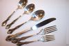 Rogers & Bro SOUTHERN SPLENDOR 6-piece Place Setting