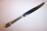 Rogers Bros 1847 FIRST LOVE French-style, Stainless Blade Dinner Knife 9 3/4"