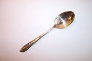 Rogers Bros 1847 SPRINGTIME Place / Oval Soup Spoon