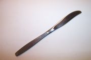 Rogers Cutlery MODERN LIVING Solid Dinner Knife