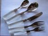 Towle Supreme Cutlery LUCITE 5-piece Place Setting