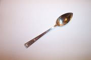 OUT OF STOCK Wallace BUCKINGHAM Citrus Spoon, Monogram G