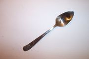 Wallace SAYBROOK Citrus Spoon