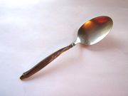Wm A Rogers Oneida SHORELINE / FIREBIRD Tablespoon / Serving Spoon