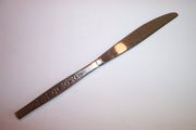 Wm A Rogers Premier SPANADA Dinner Knife