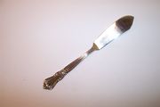 Wm A Rogers VALLEY ROSE Master Butter Knife