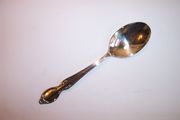 Wm Rogers PRECIOUS MIRROR Place / Dessert Spoon