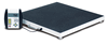 Low-Profile Bariatric Scale