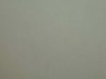 Dorr's White Wool