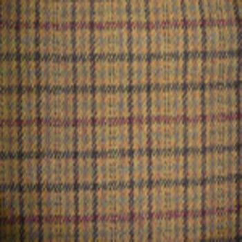 Golden Autumn Plaid